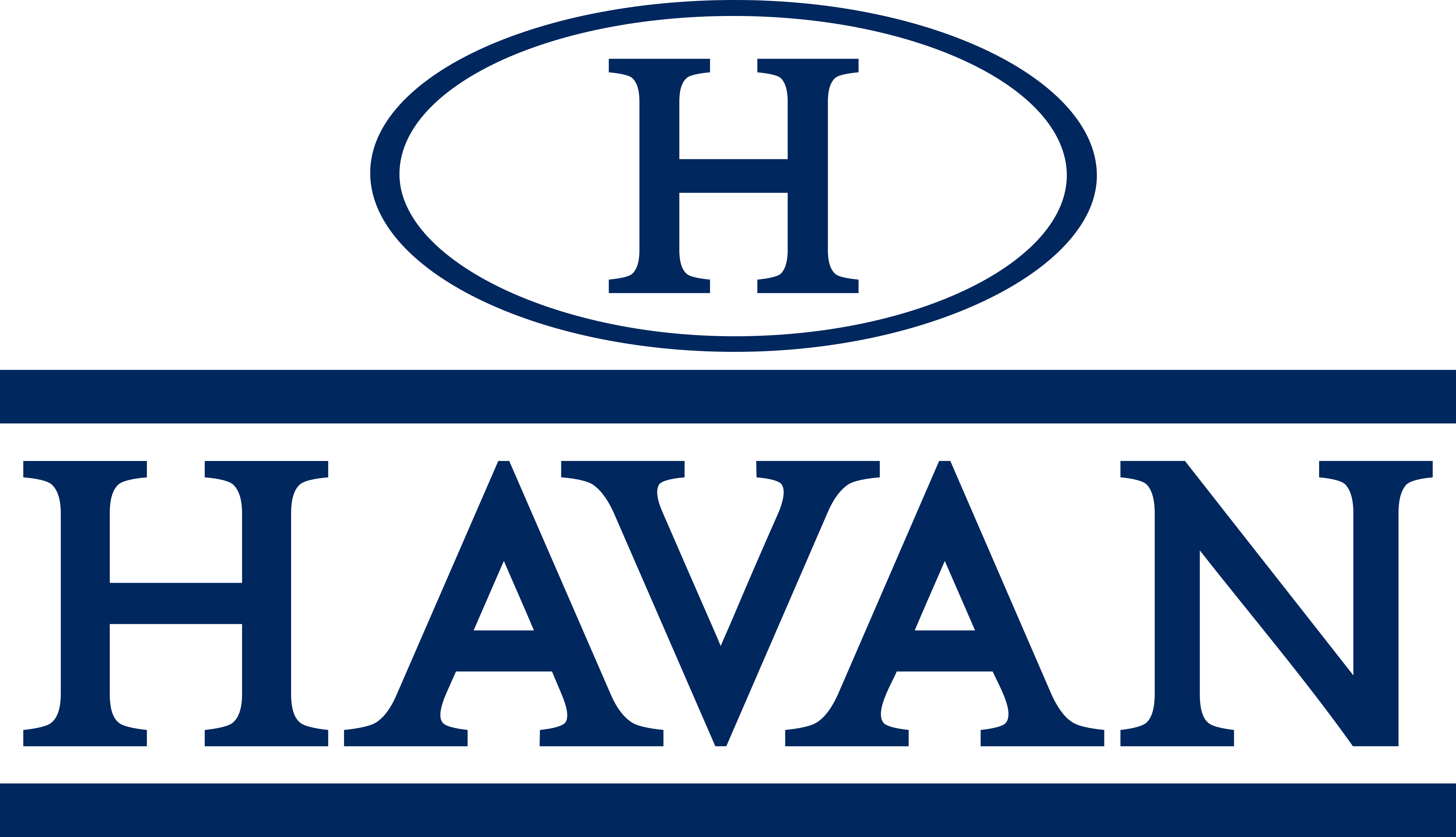 Logo Havan PNG Foco