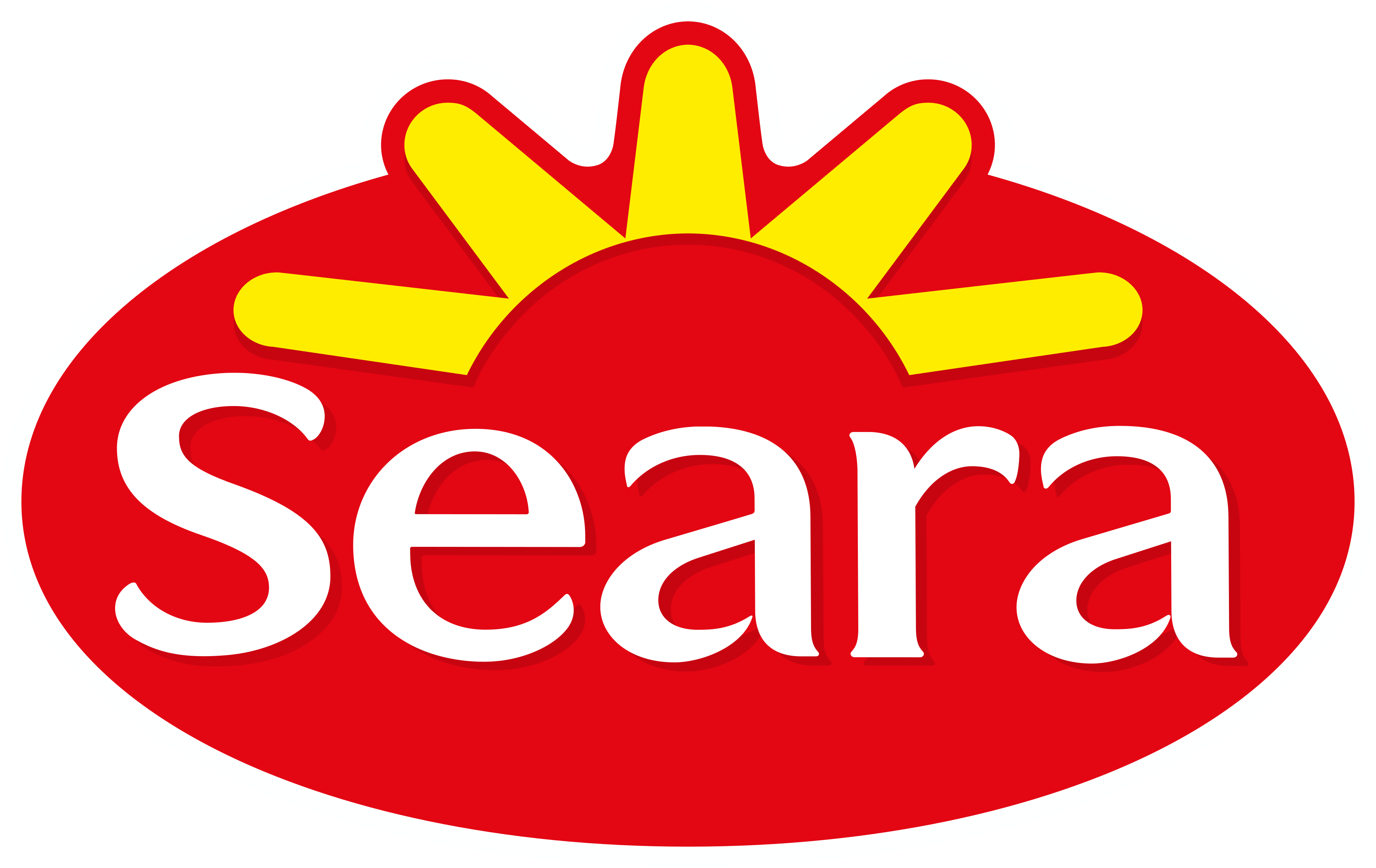 Logo Seara PNG Foco